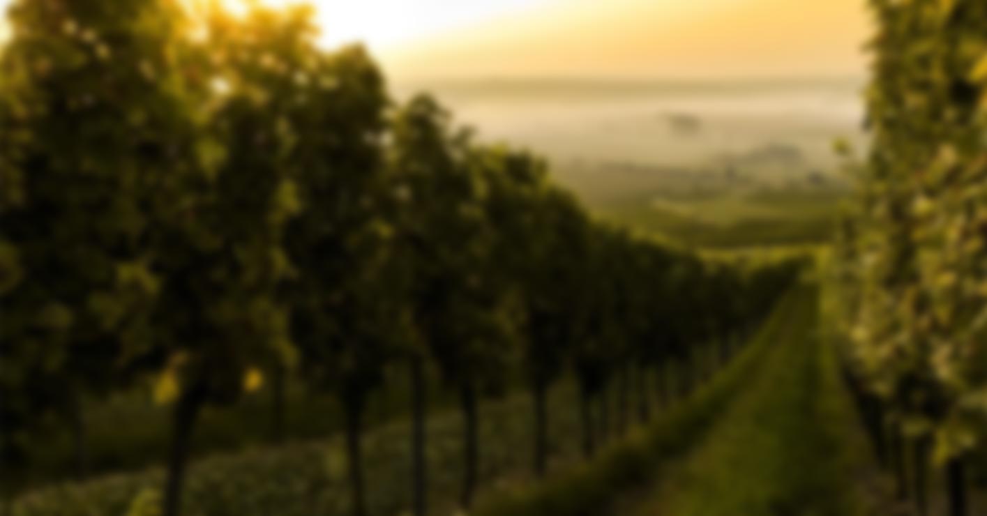 wine-slider-1-img-min-1.jpg