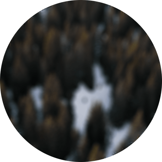 v-sh-sl-3-circle-new-1.png