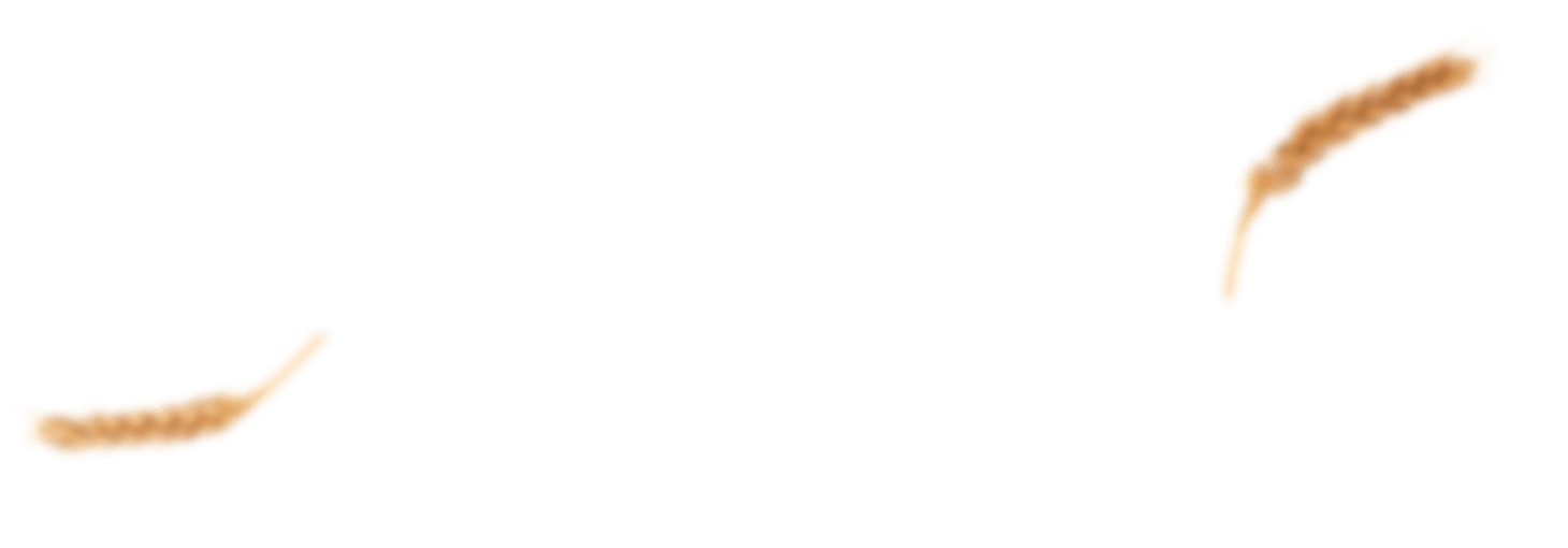 bakery-slider-1-l-2-blur-opt.png