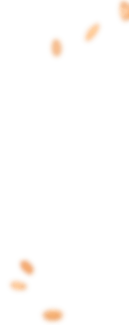 bakery-slider-1-l-3-blur-opt.png