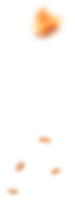 bakery-slider-1-l-4-blur-opt.png