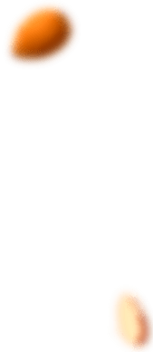 bakery-slider-2-l-2-blur-opt.png